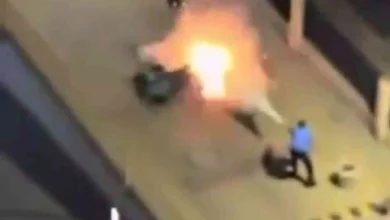 JPEG 20250211 120730 6307878536705313341 converted