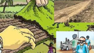 JPEG 20250511 174955 7725831467054259413 converted