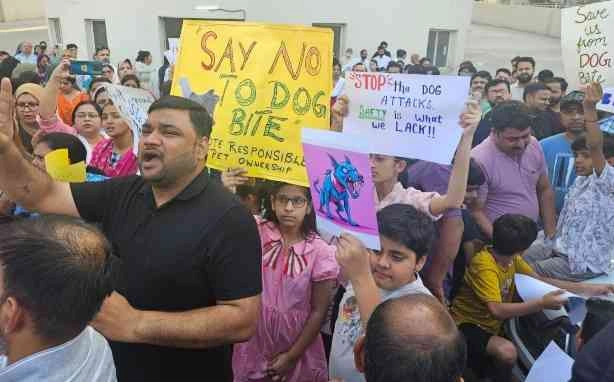 Dogs Attack' News : ग्रेटर नोएडा वेस्ट की सड़कों पर गूंजा ‘स्टॉप डॉग अटैक’ का नारा, महिला के घायल होने के बाद भड़के लोग, बोले- जानवरों से नहीं, लापरवाही से डर लगता है! 1 JPEG 20250511 185937 7657190808691172811 converted