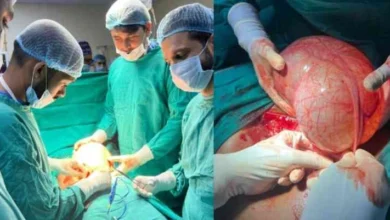 JPEG 20250529 223050 5197717614440120396 converted