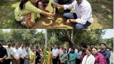 JPEG 20250605 222414 5450002859652949743 converted