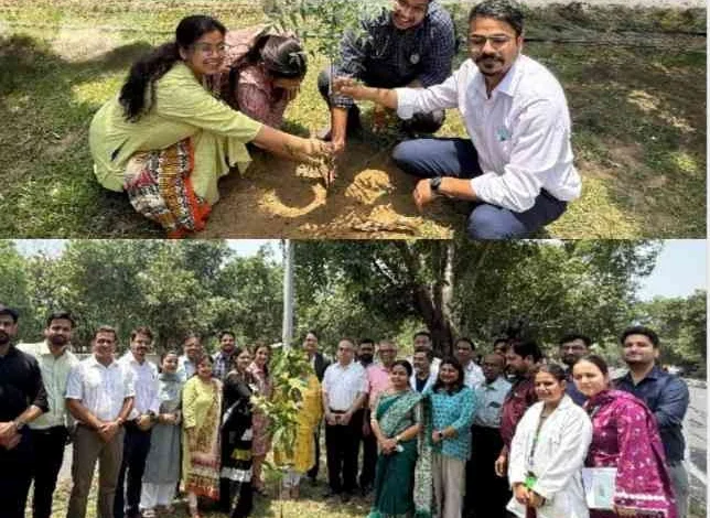 Fortis Hospital News : "फोर्टिस की हरी पहल, डॉक्टरों ने लगाए पौधे, गोलचक्कर तक लहराया हरियाली का संदेश, हरित ग्रेटर नोएडा की ओर उठाया स्वास्थ्यमय कदम!" 1 JPEG 20250605 222414 5450002859652949743 converted