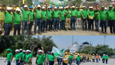 JPEG 20250606 013800 5315843069204482955 converted