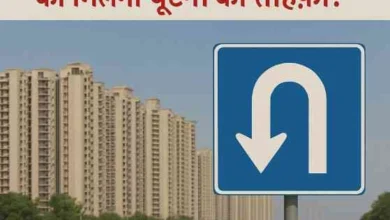 JPEG 20250702 101814 5272643803653737220 converted