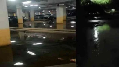 JPEG 20250710 112849 3263248729200102944 converted