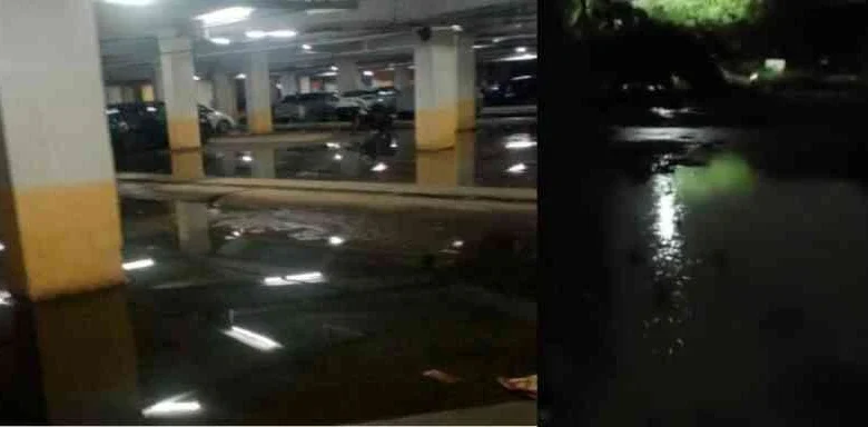 JPEG 20250710 112849 3263248729200102944 converted