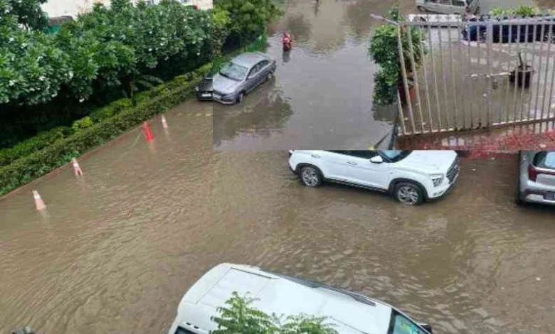 JPEG 20250713 102351 1389727824548296689 converted