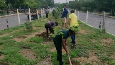 JPEG 20250713 202008 2066305103348988666 converted