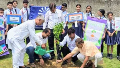 JPEG 20250718 164925 6738573017915089712 converted