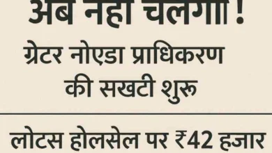 JPEG 20250718 201949 4207764286221807639 converted