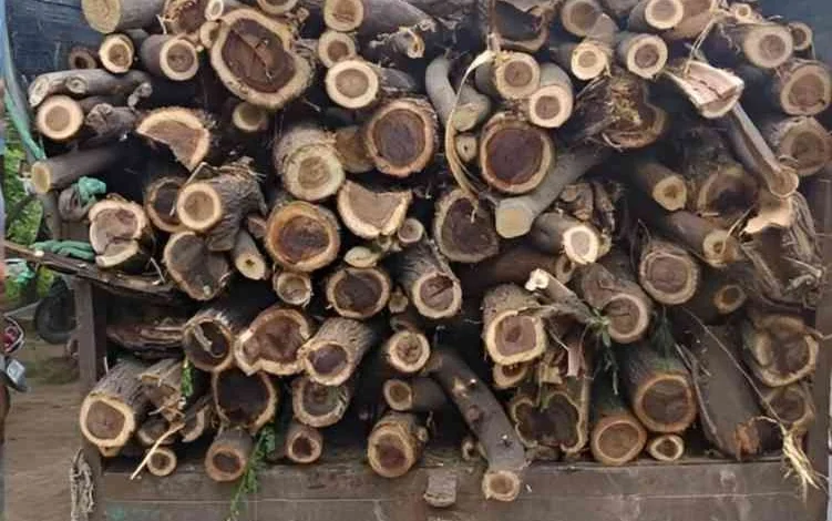 JPEG 20250722 101405 7678537840018058328 converted