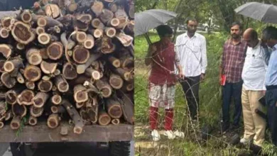 JPEG 20250724 091730 9057608513777245406 converted