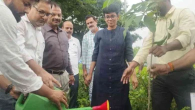 JPEG 20250730 092027 3552755840091722730 converted