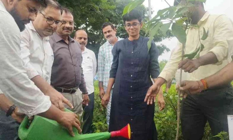 JPEG 20250730 092027 3552755840091722730 converted