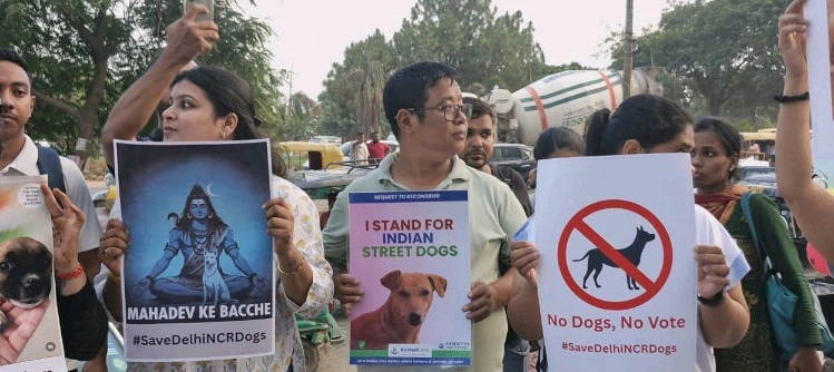 WhatsApp Image 2025 08 20 at 11.57 converted