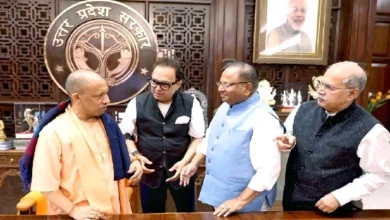Yogi 4 converted