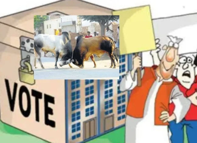 Screenshot 20250902 140641 PicCollage converted