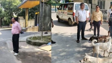 Screenshot 20251016 183323 PicCollage converted