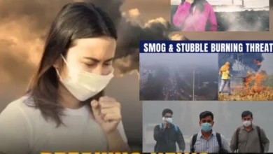 Screenshot 20251030 114311 PicCollage converted