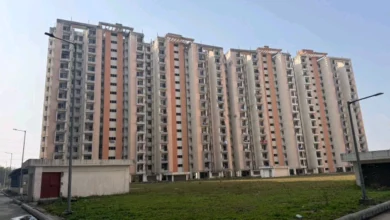 Gnoida Plot converted