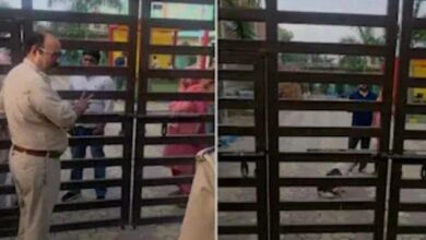 b415fe69 d759 491a 81ae b7a926960562