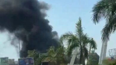 c2318e8d 71fc 4c3e 8126 76ea305221cb