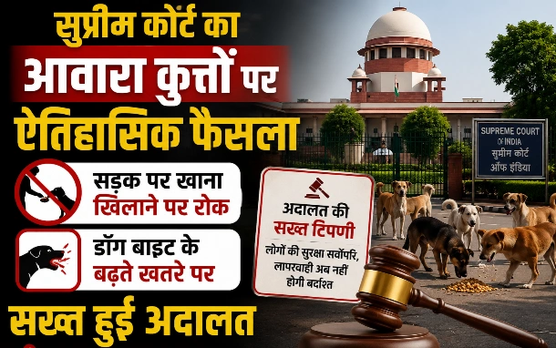 Supreme Court News : “अब गली-मोहल्लों में नहीं चलेगी मनमानी!”, सुप्रीम कोर्ट का आवारा कुत्तों पर ऐतिहासिक फैसला — सड़क पर खाना खिलाने पर रोक, डॉग बाइट के बढ़ते खतरे पर सख्त हुई अदालत, नगर निगमों को दिए बड़े आदेश 1 file 000000008ee871fab2bbcae6c59ebe2d converted