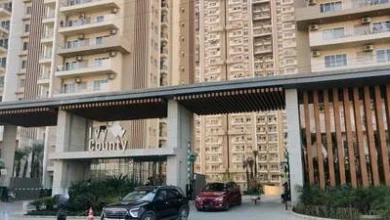 Breaking News : “प्यार, प्रॉपर्टी या खूनी साज़िश?”… नोएडा के चर्चित आईवी काउंटी हत्याकांड में बड़ा मोड़, आरोपी प्रिया सिंह की जमानत खारिज, कोर्ट बोला—‘गंभीर अपराध में राहत नहीं’, नोएडा में मचा था हड़कंप, हाईप्रोफाइल सोसाइटी में हुई थी वारदात, वादी पक्ष बोला—“दोषियों को सख्त सजा दिलाकर रहेंगे” 7 ivy county elevation 178981789 converted