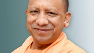 yogi converted 3