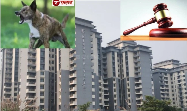Breaking News : अब सोसायटी में लापरवाही पड़ेगी महंगी!, चार साल की मासूम को कुत्ते ने काटा तो उपभोक्ता आयोग ने AOA पर ठोका डेढ़ लाख रुपये का जुर्माना, नोएडा की सभी सोसायटियों के लिए बना बड़ा संदेश, 30 दिनों के भीतर देना होगा मुआवजा 1 Screenshot 20260715 151025 PicCollage converted
